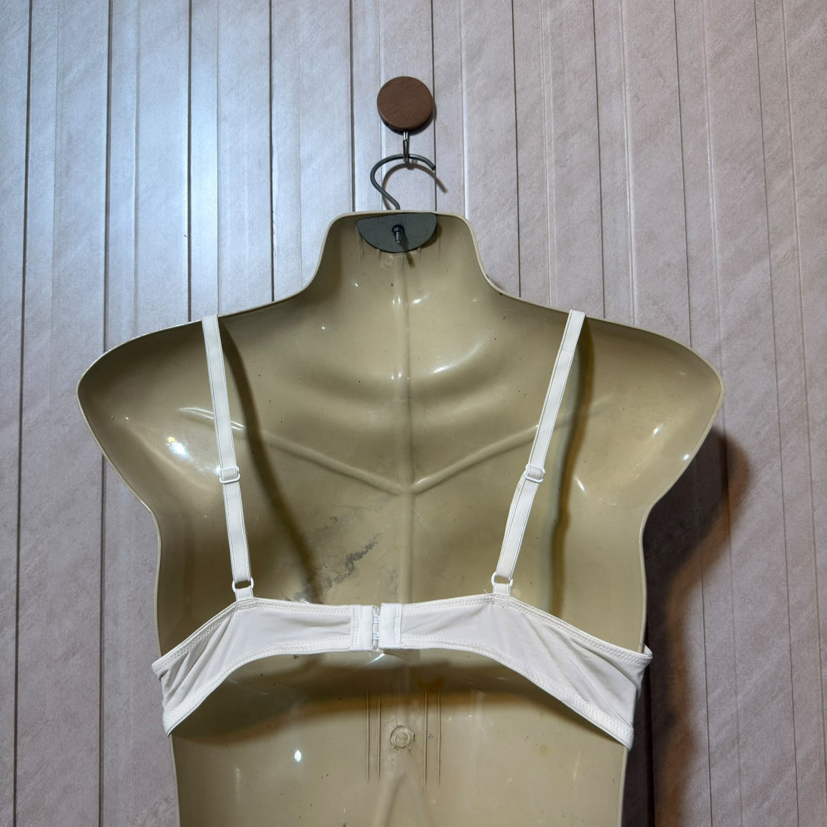 Chest Large  Length 12 Premium Ladies Bra by Western Brand