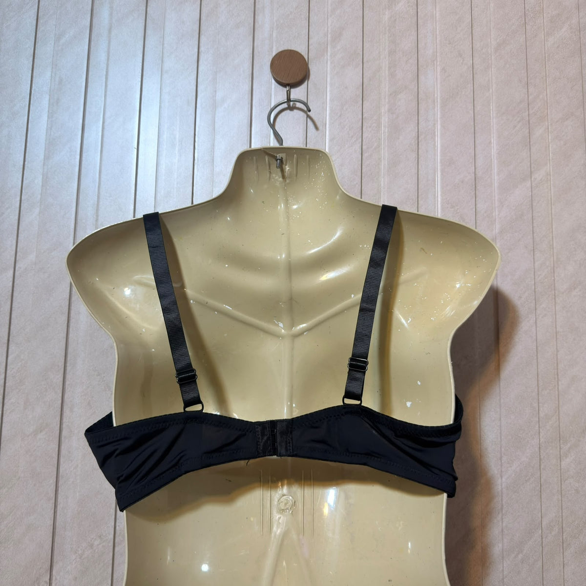 Chest Large  Length 10 Western Collection Women’s Bra